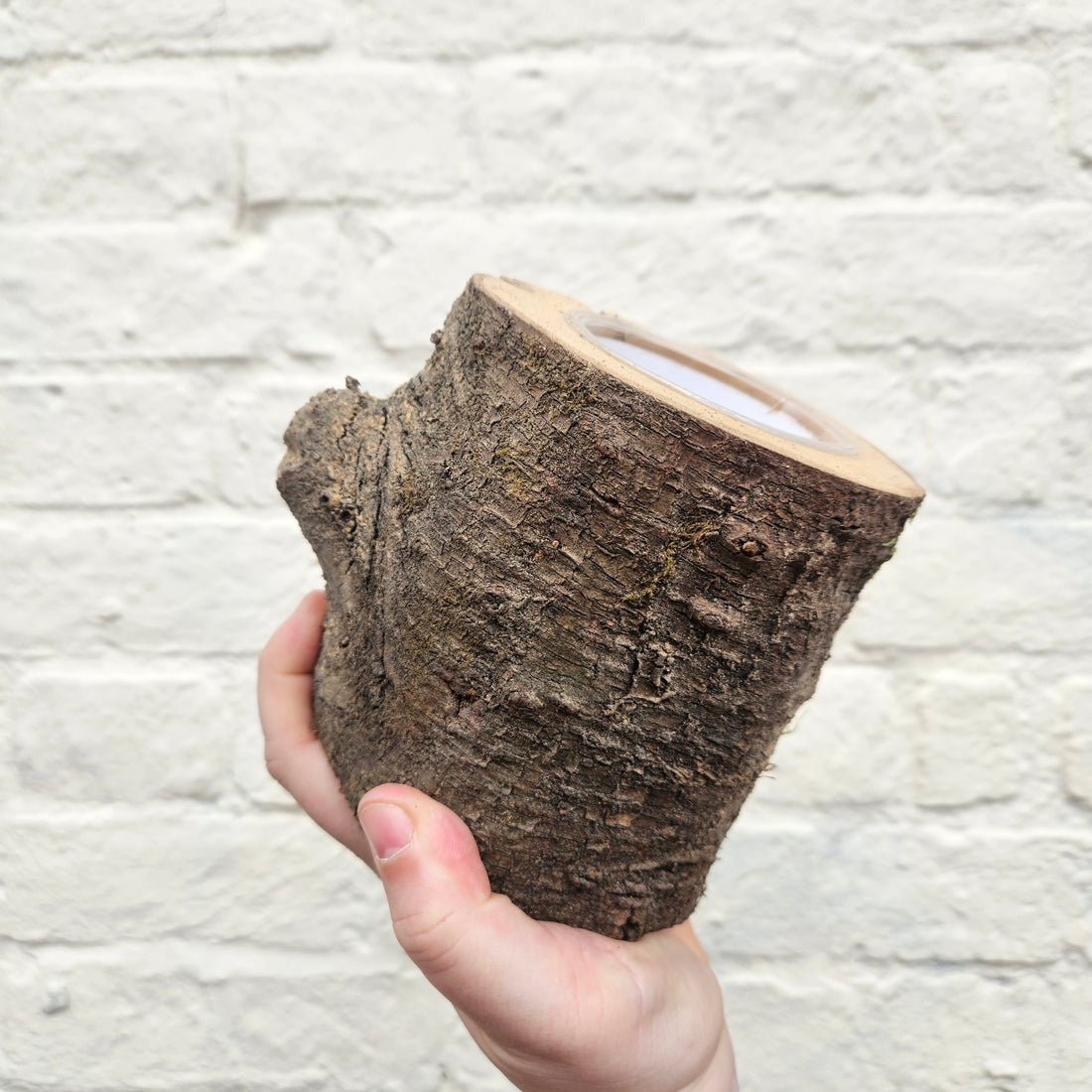 Plant Pots by Knots and Timber
