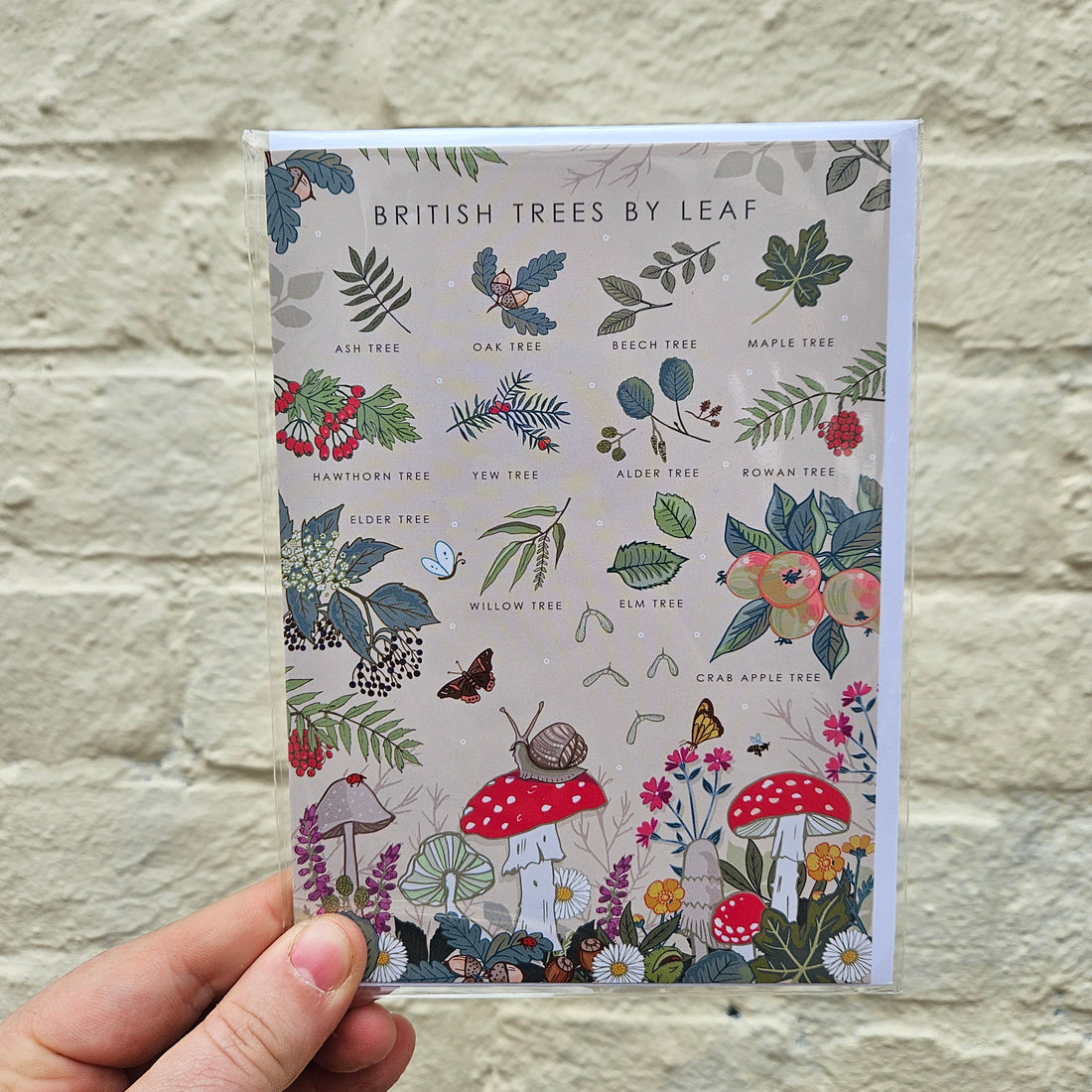 British Nature Guides Greeting Cards