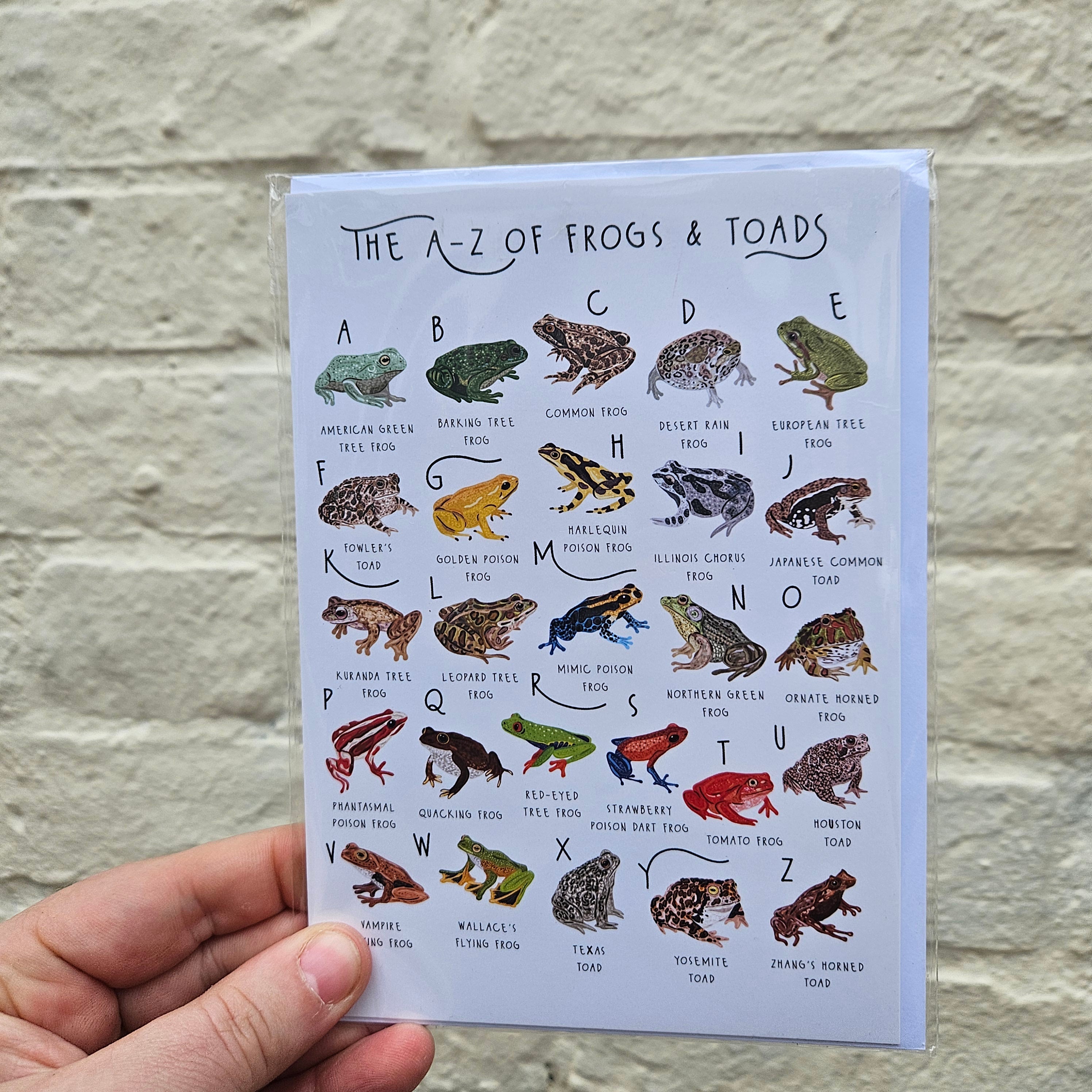 British Nature Guides Greeting Cards