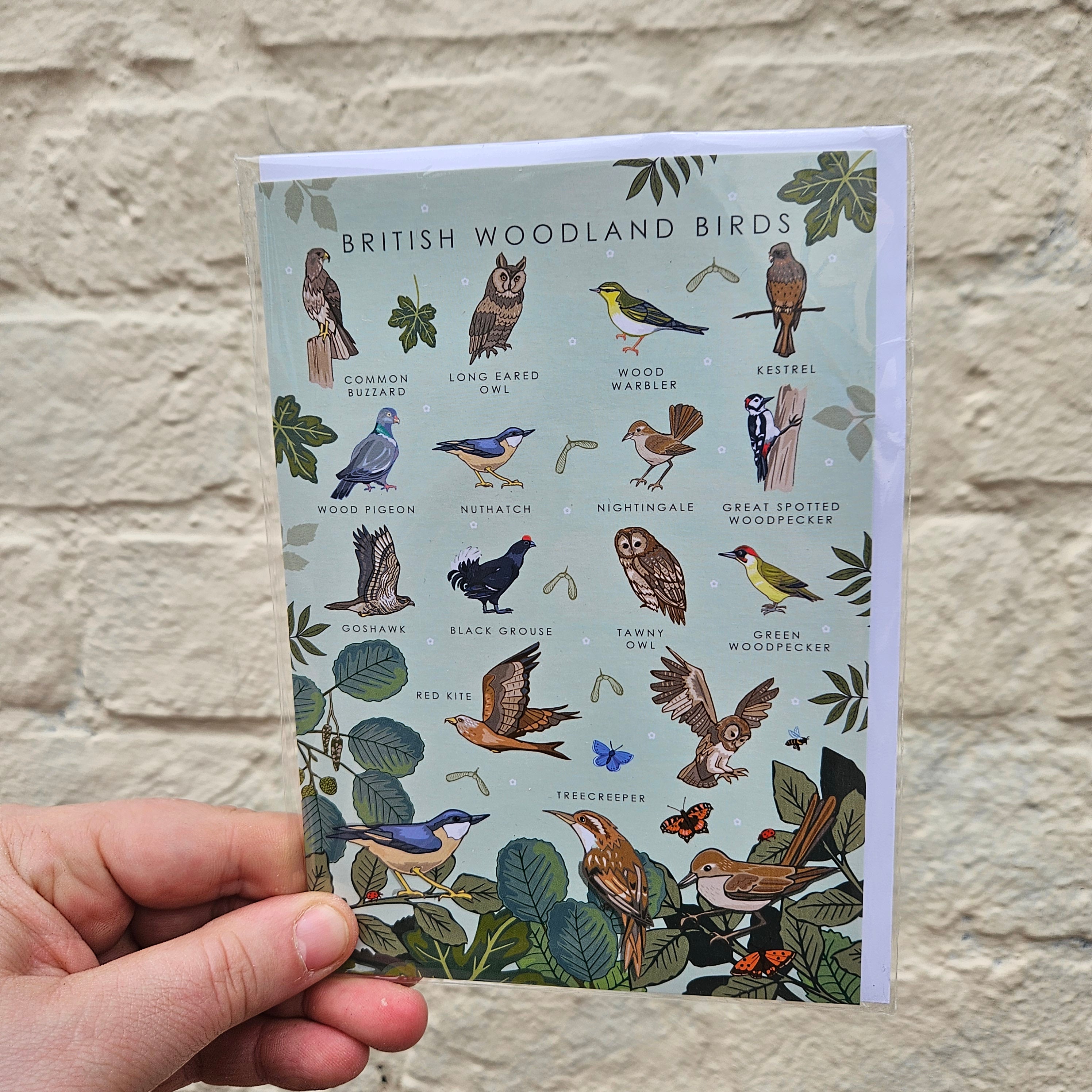 British Nature Guides Greeting Cards