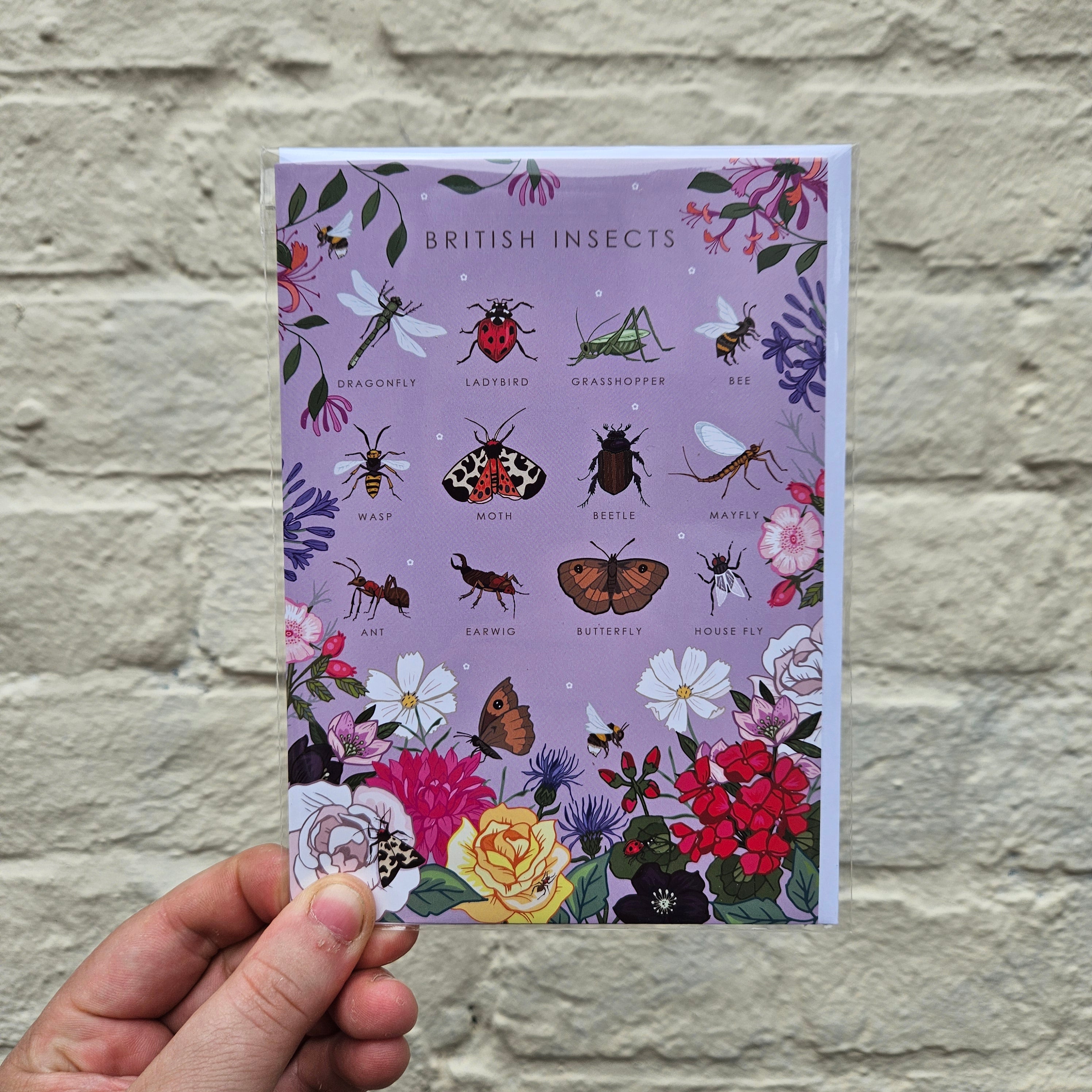 British Nature Guides Greeting Cards