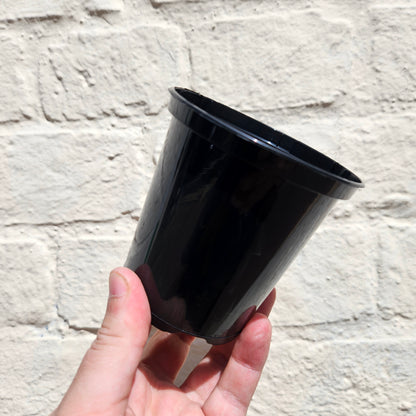 Black Plastic Nursery Pots (Various Sizes Available)