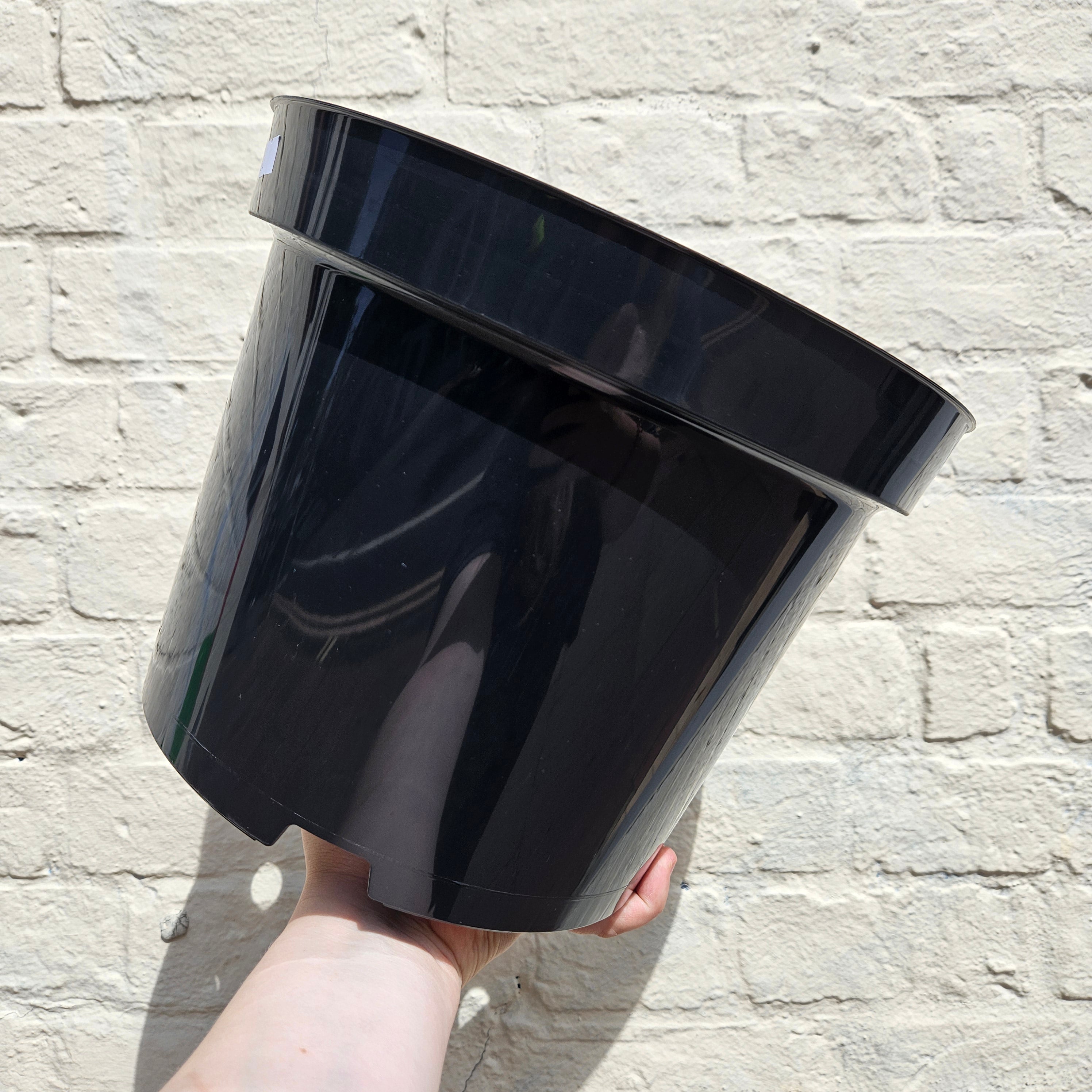 Black Plastic Nursery Pots (Various Sizes Available)