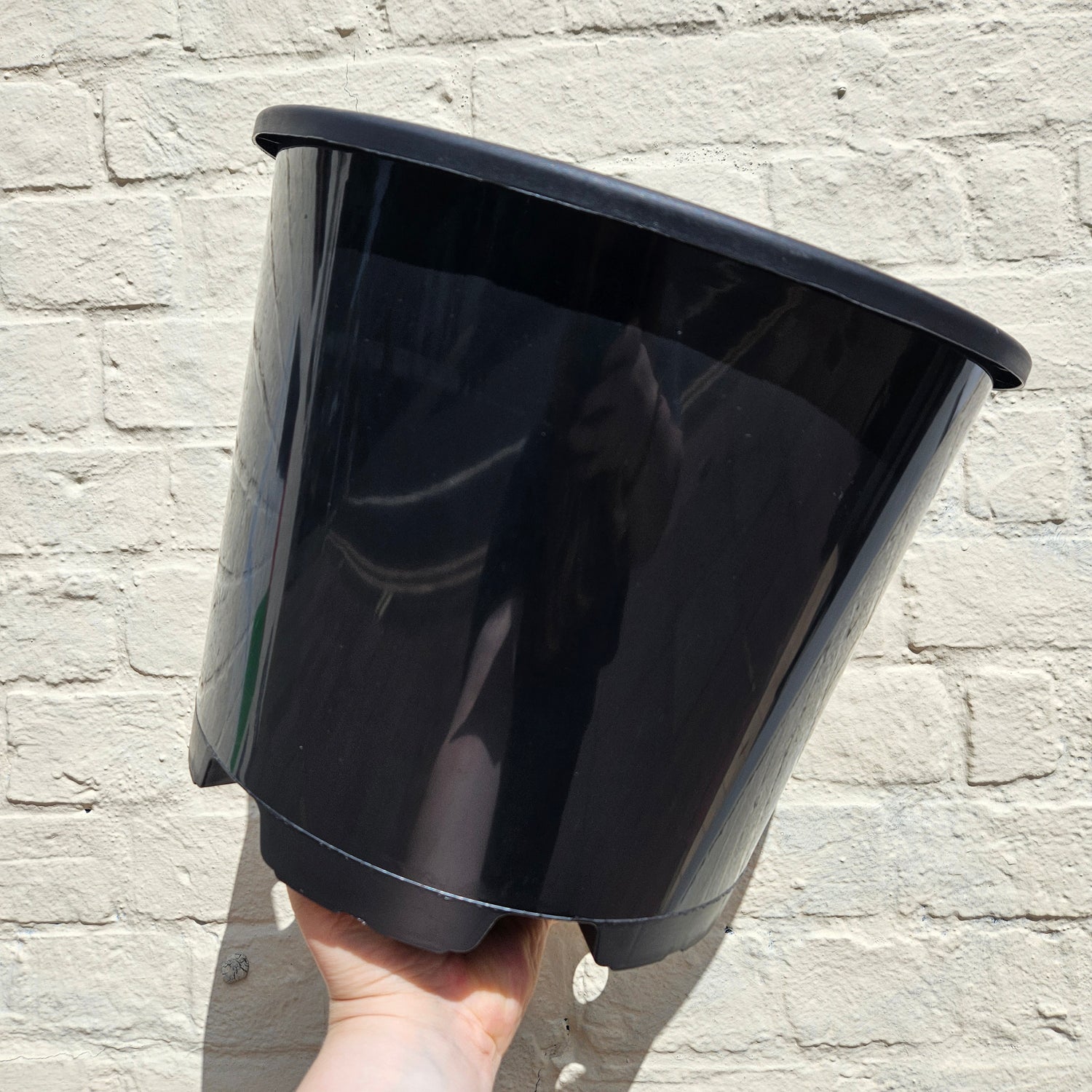 Black Plastic Nursery Pots (Various Sizes Available)