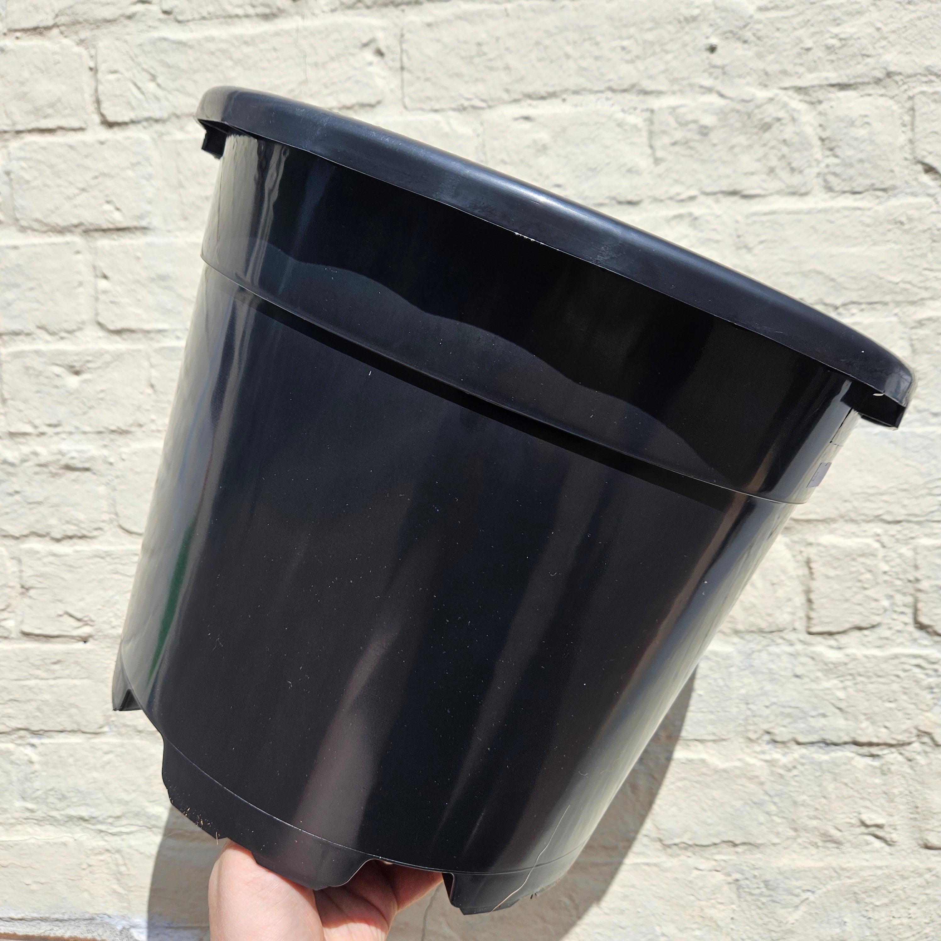 Black Plastic Nursery Pots (Various Sizes Available)