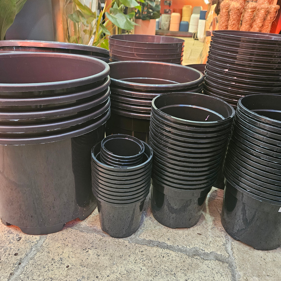 Black Plastic Nursery Pots (Various Sizes Available)