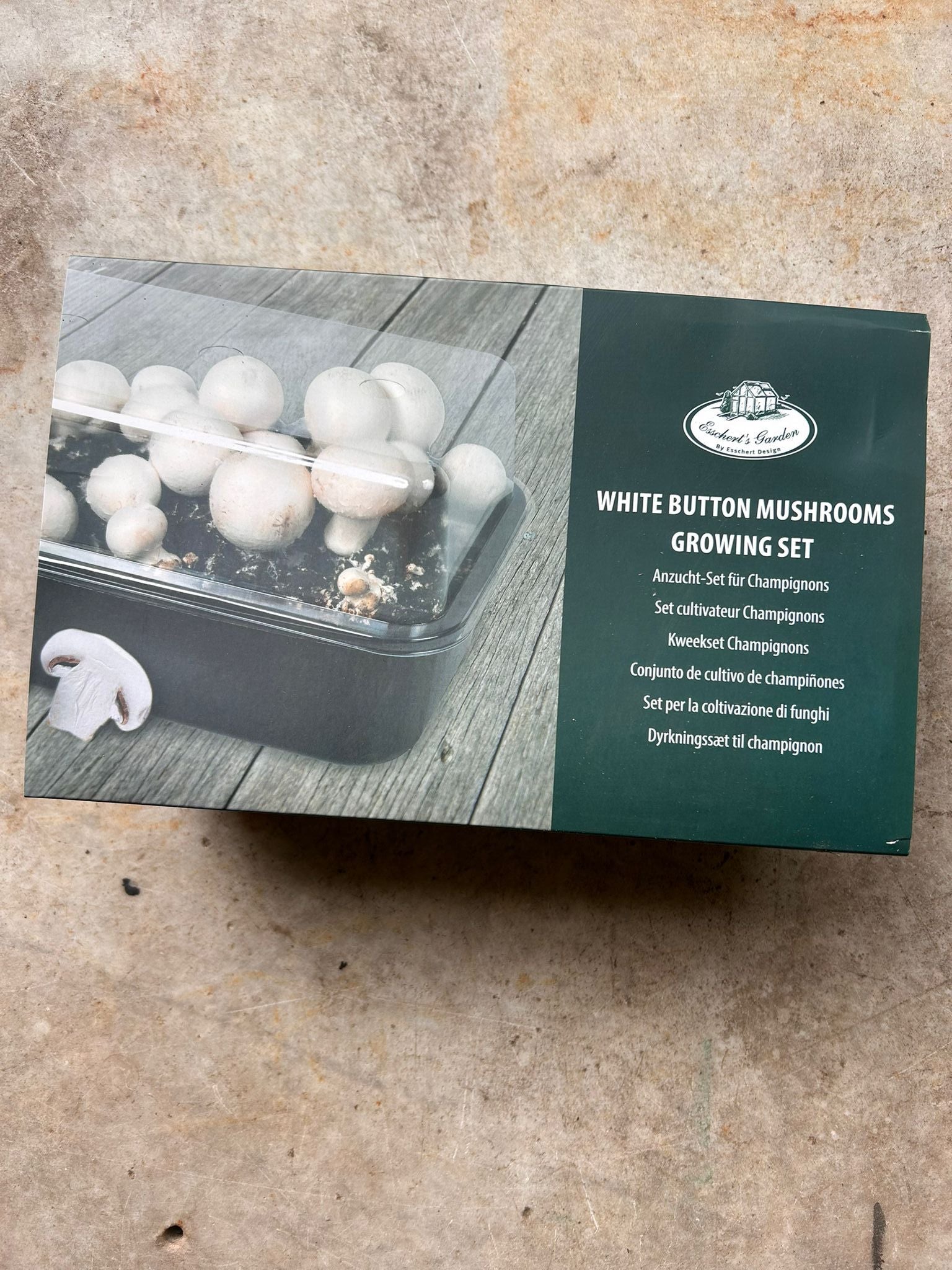 White Button Mushroom Grow Kit