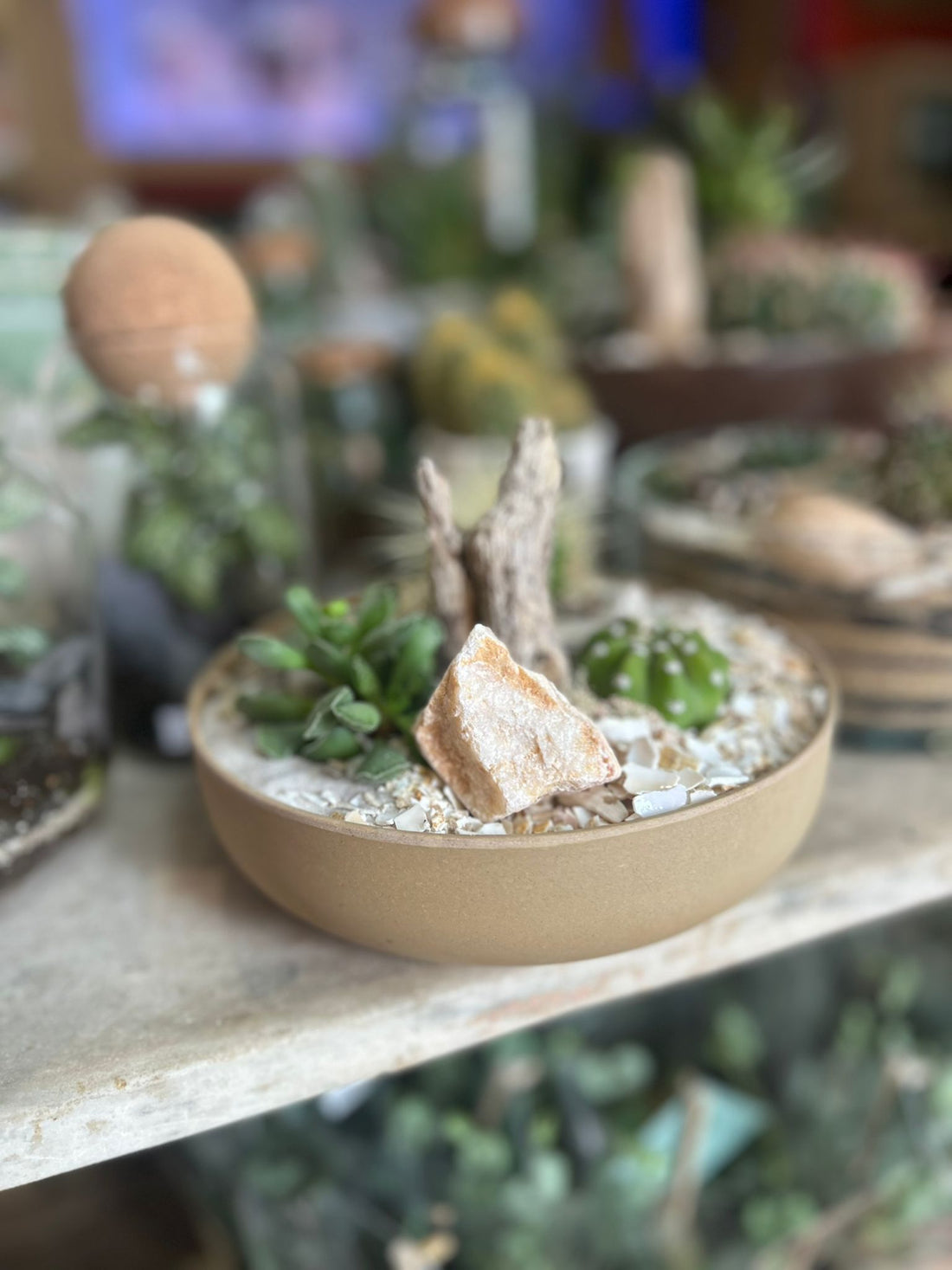 Sculptural Decorative Stones for Terrariums