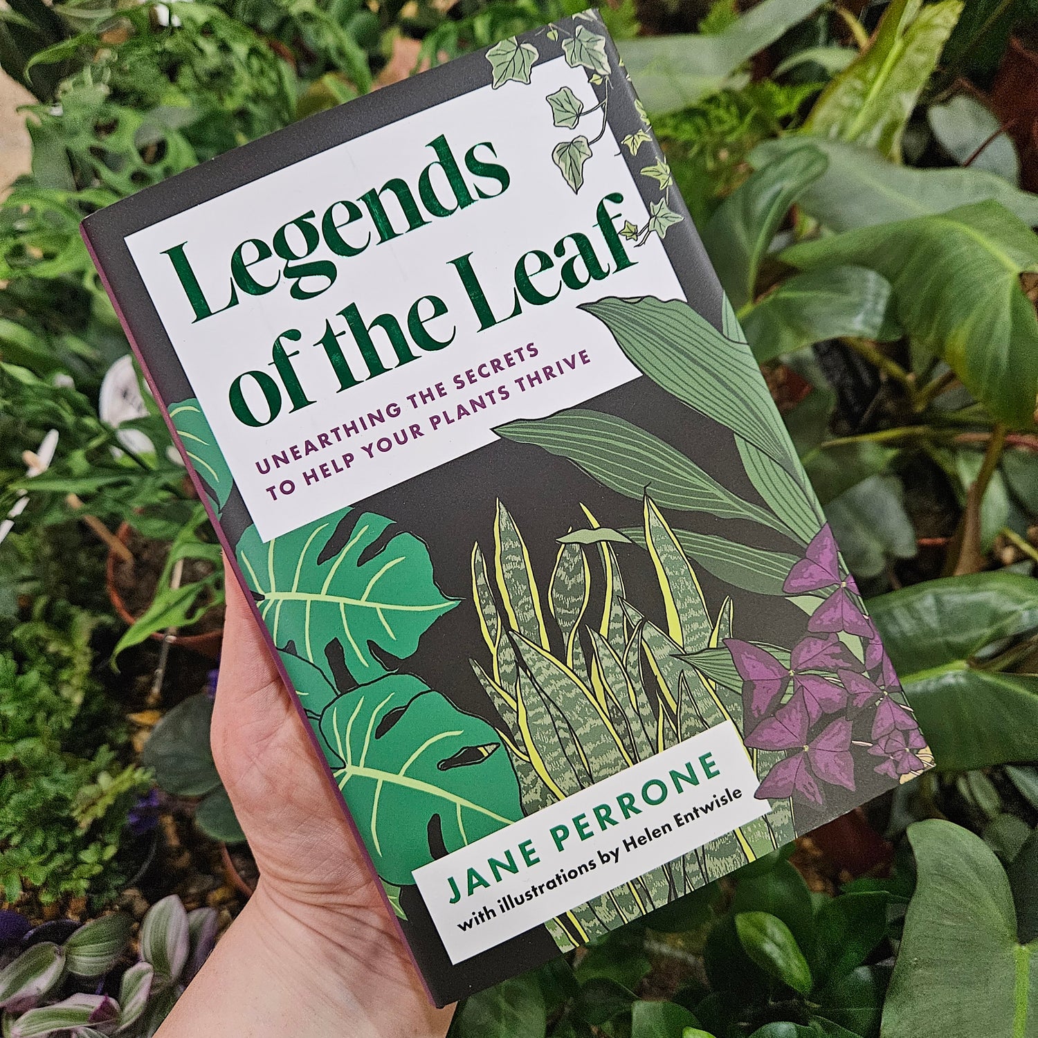 Legends of the Leaf: Unearthing the secrets to help your plants thrive - By Jane Perrone