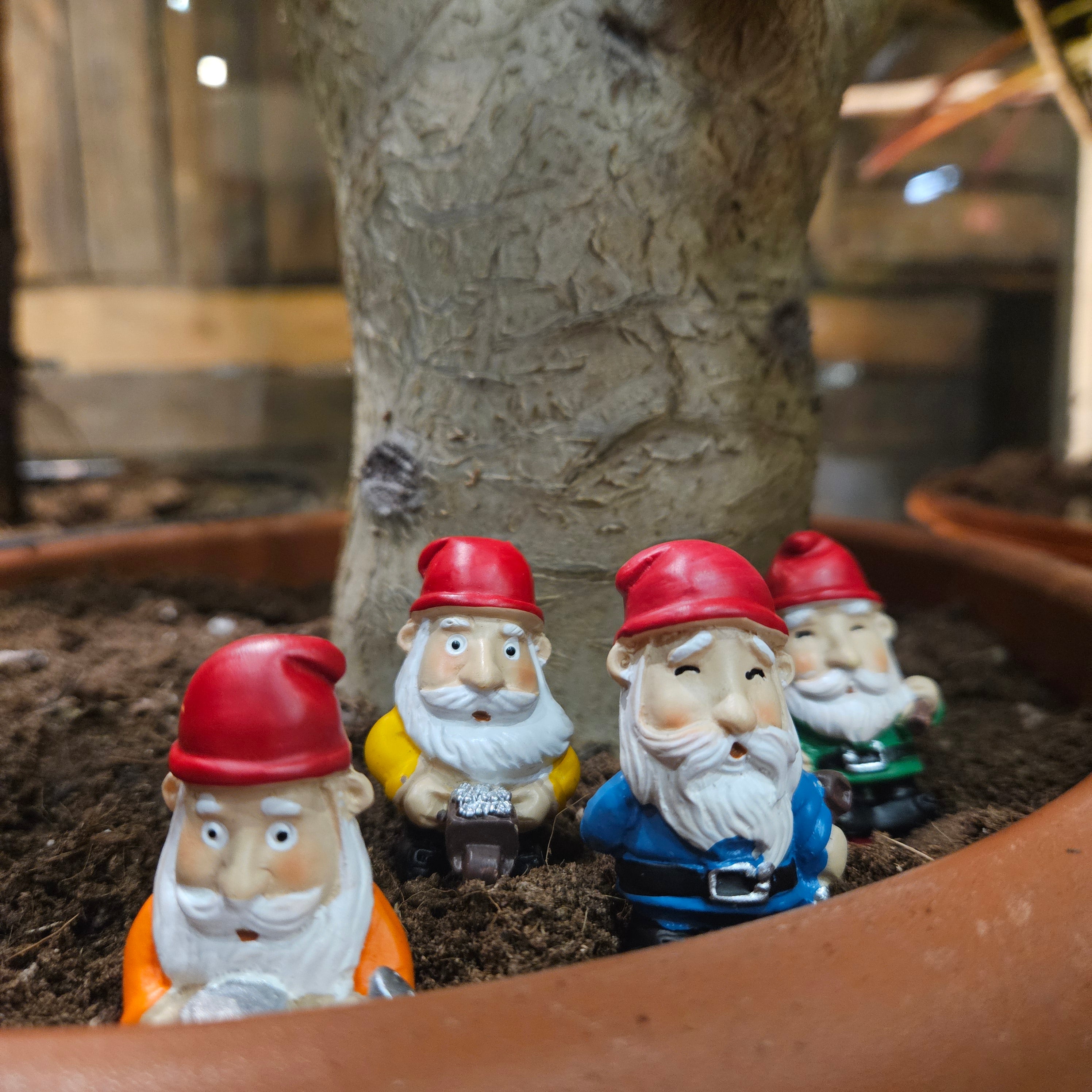 Mini Plant Pot Gnomes - plant pot decor