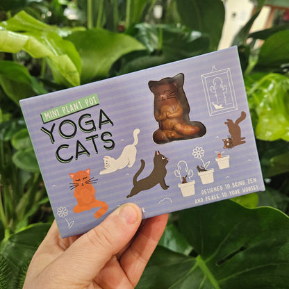 Mini Plant Pot Yoga Cats - pot decor