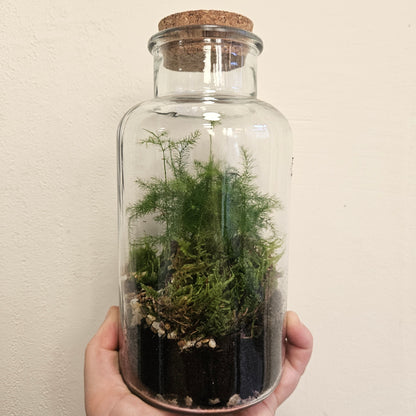 Medium closed terrarium with cork