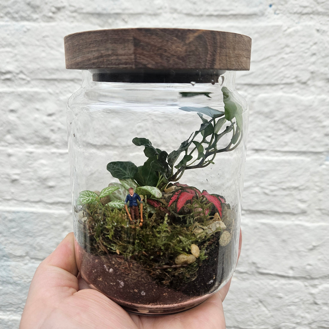 Round wooden lid closed terrarium