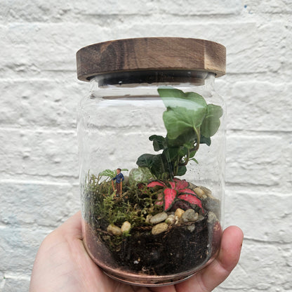 Round wooden lid closed terrarium