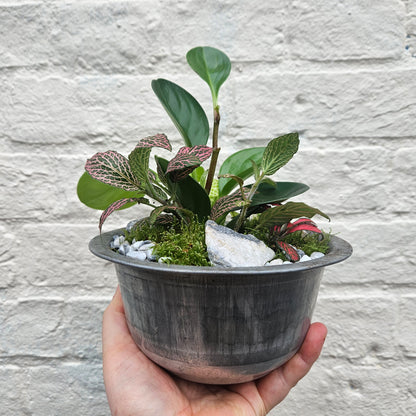 Planted Metal Bowl Arrangement