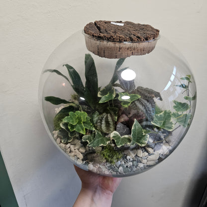 Large dome shaped closed terrarium with antique lid