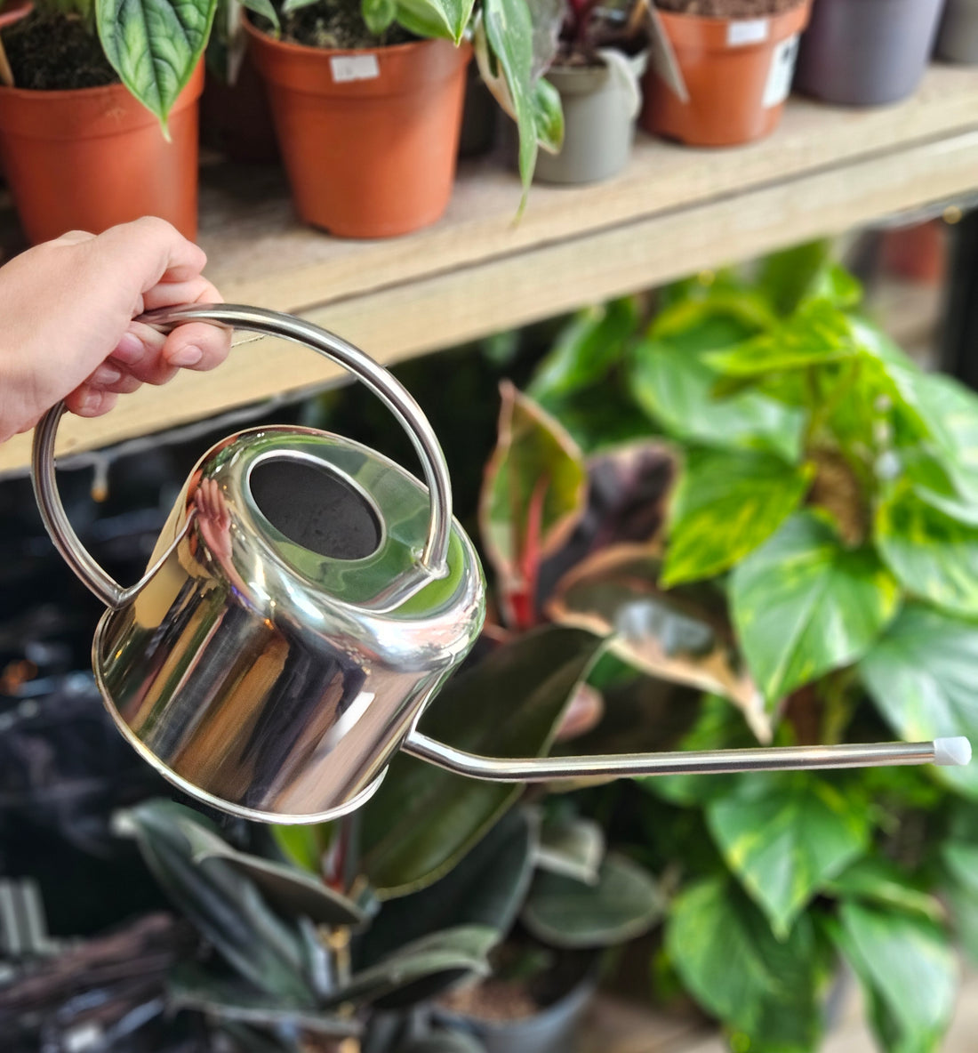 Chrome watering can- 1L