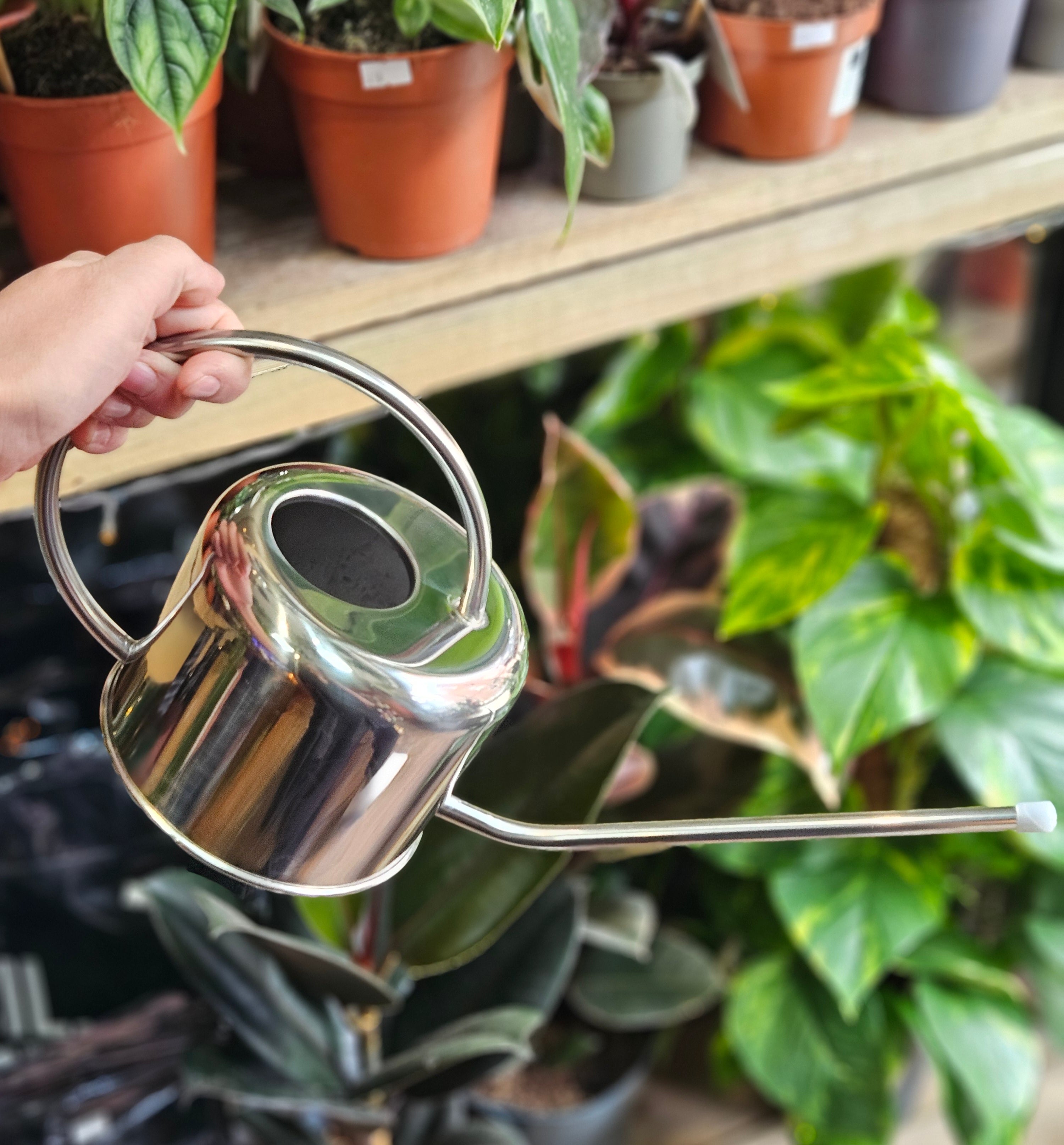 Chrome watering can- 1L