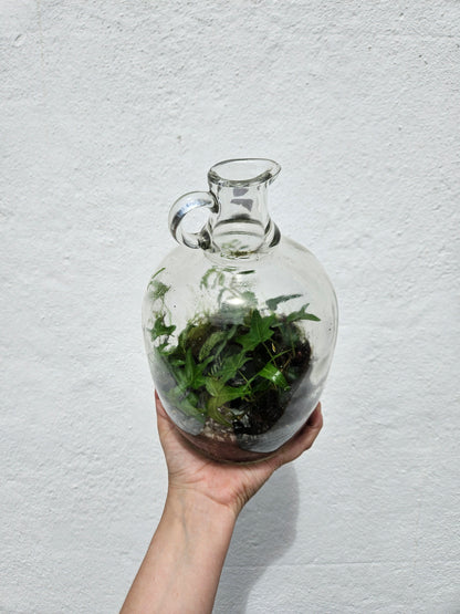 Small demi-john closed terrarium