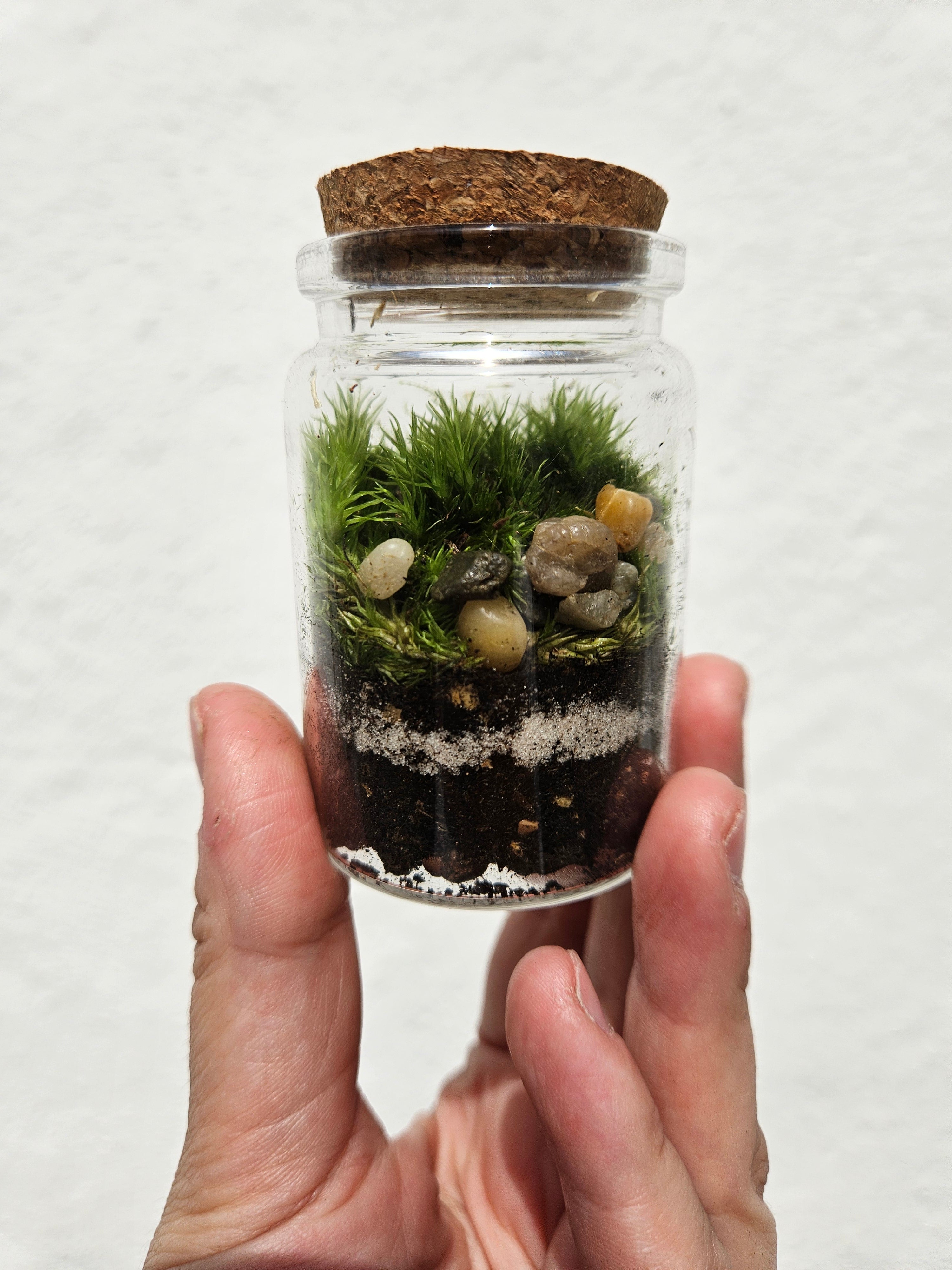 Teeny tiny closed terrarium with cork