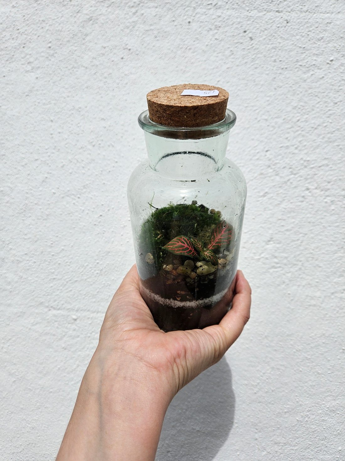 Mini tall closed terrarium with cork
