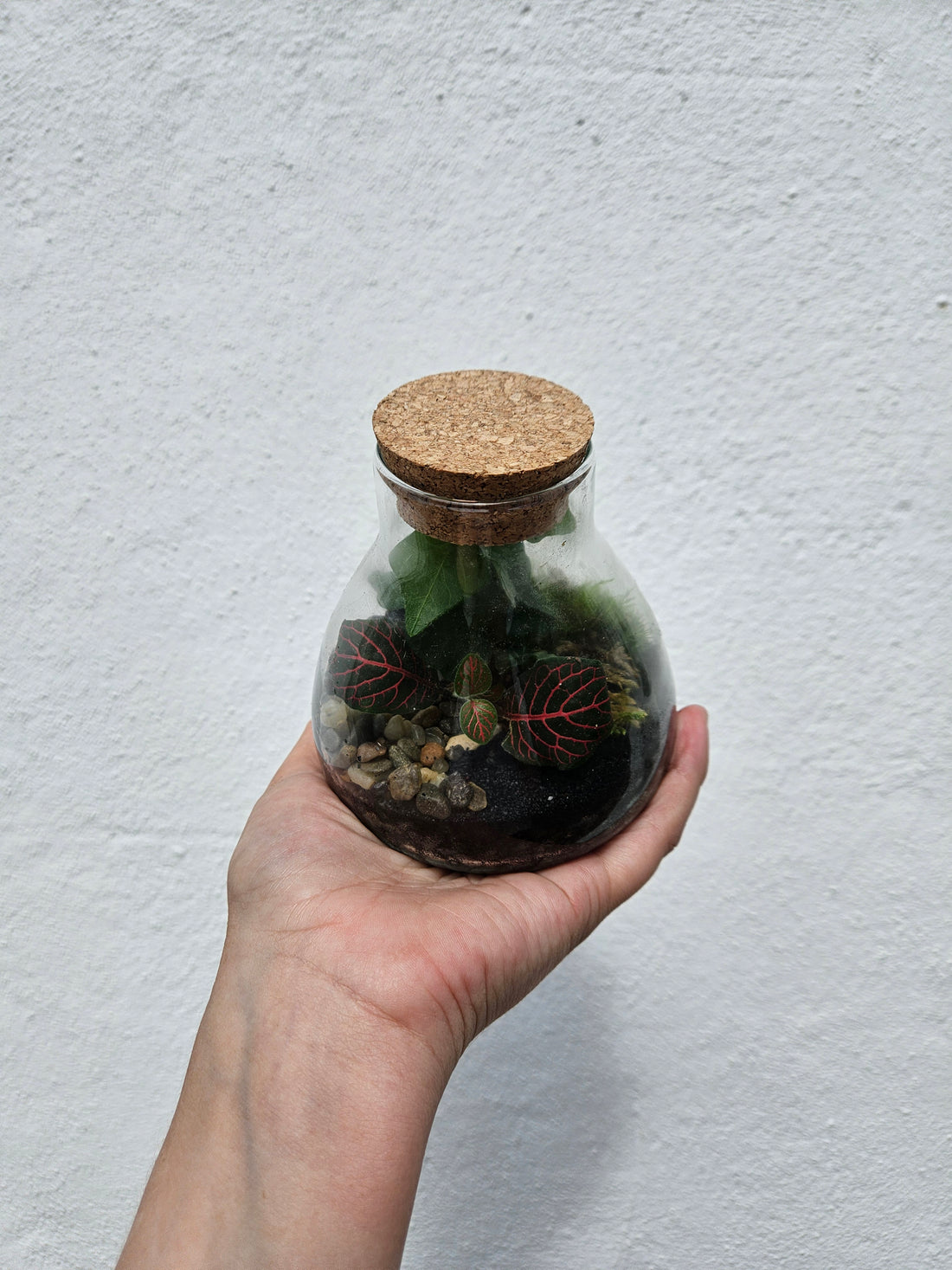 Small Conical Flask Closed Terrarium