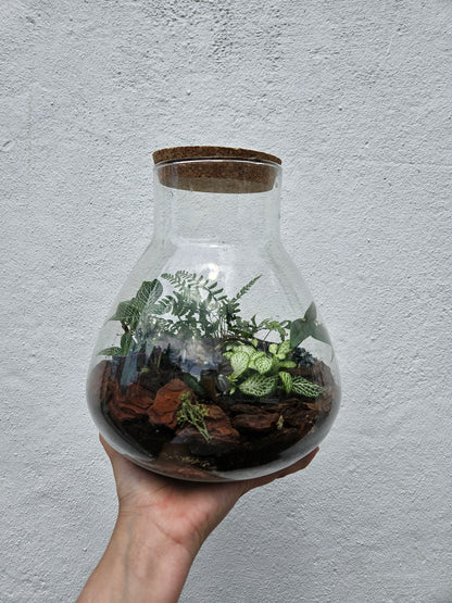 Large Conical Closed Terrarium