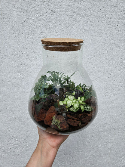 Large Conical Closed Terrarium