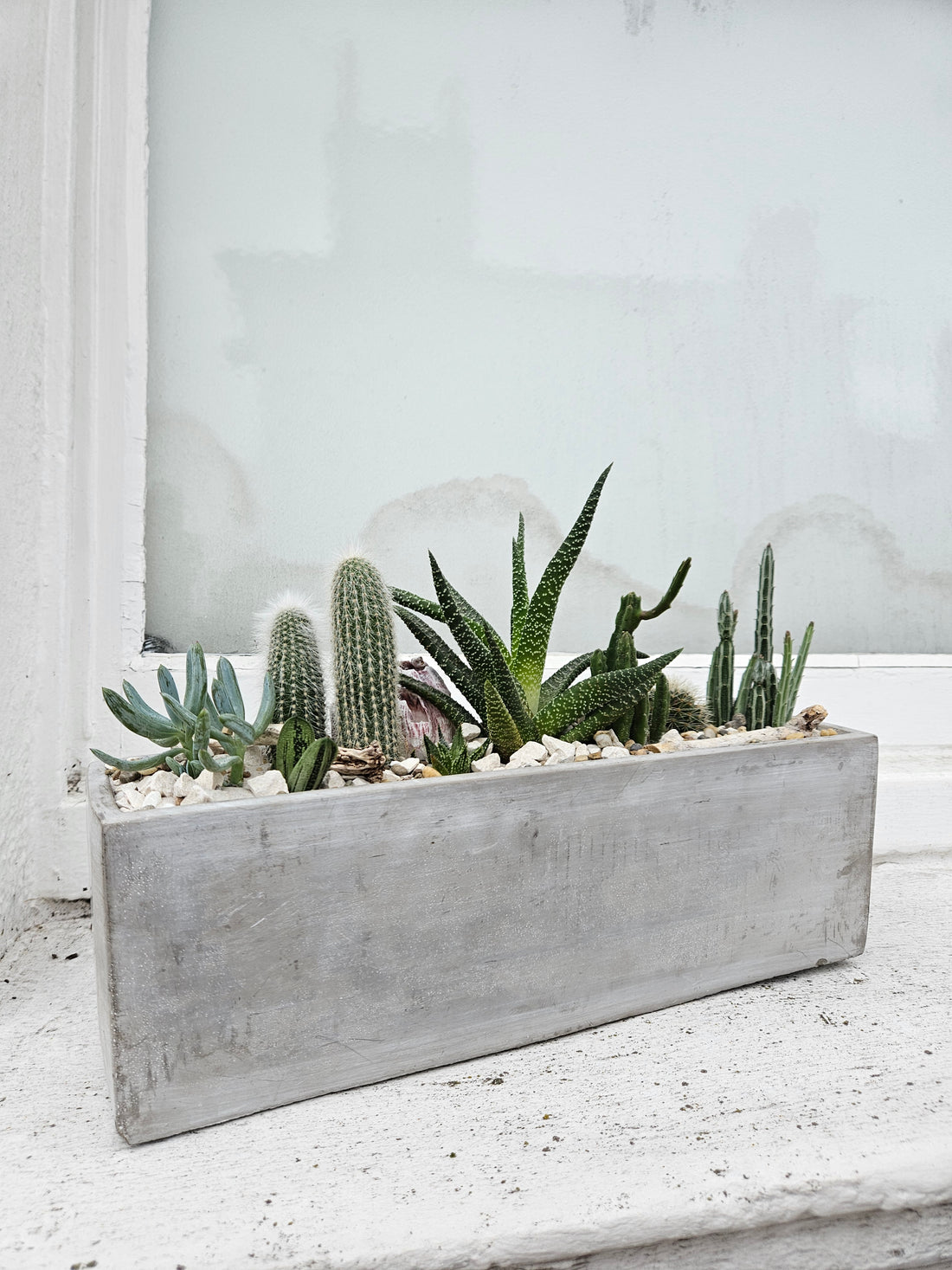 Concrete Rectangle Open Terrarium