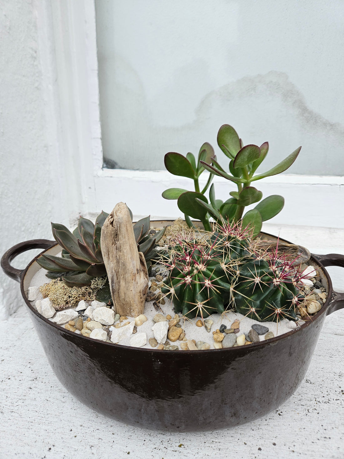 Large Glazed Dish Open Terrarium