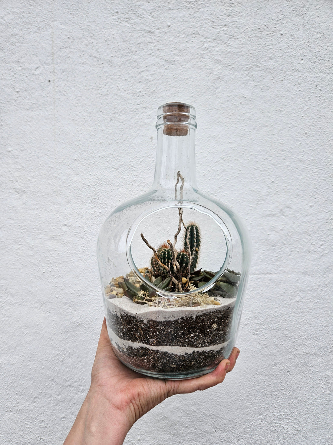 Open bottle Terrarium