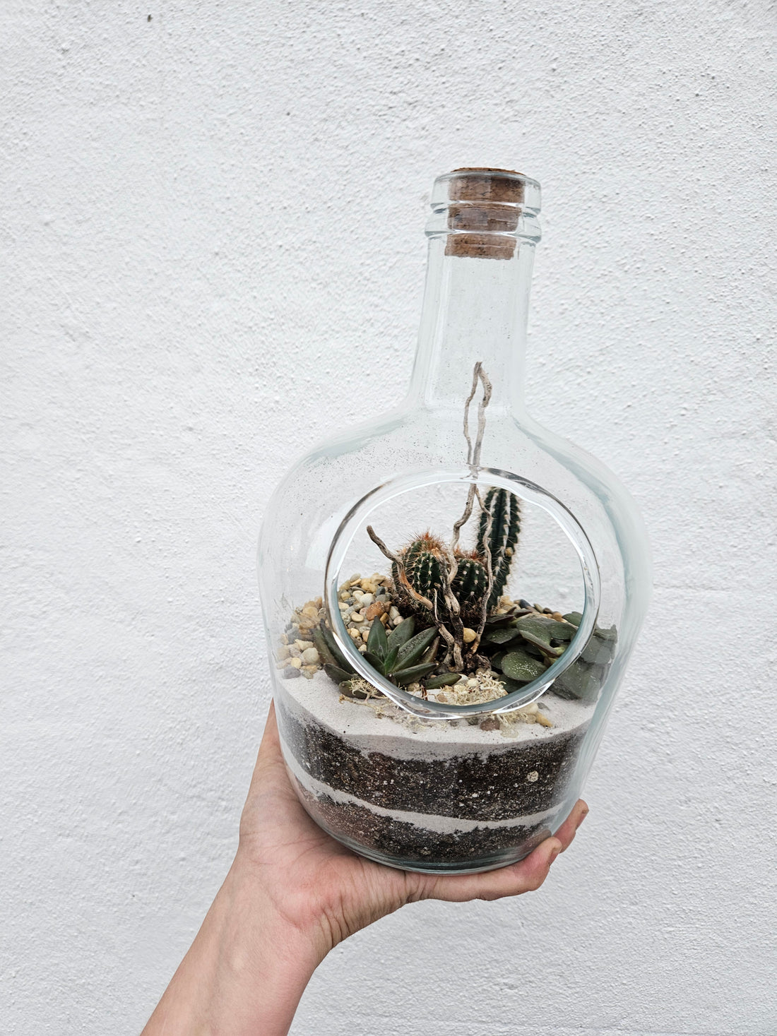 Open bottle Terrarium