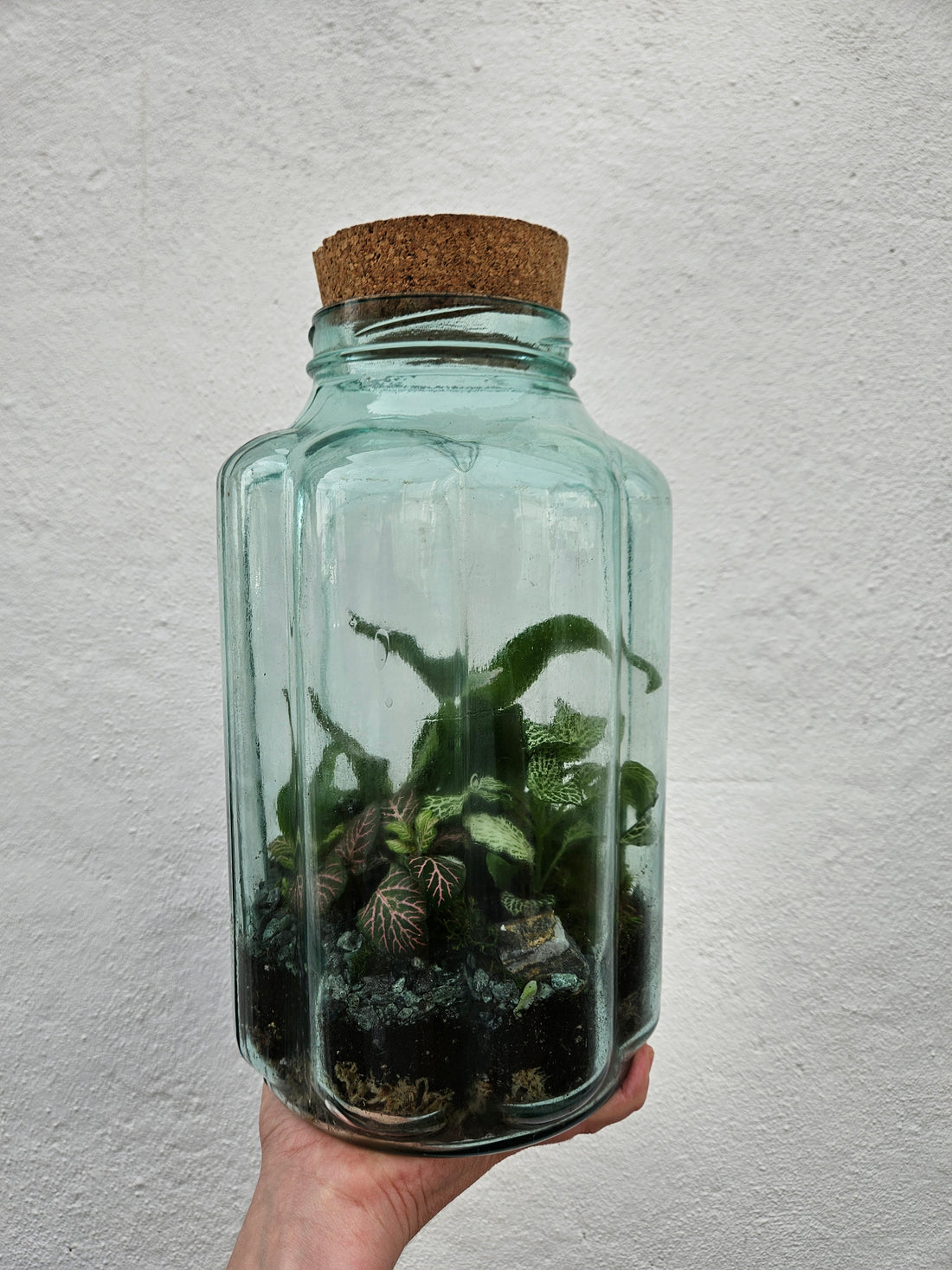 Tall Vintage Blue Bubble Glass Closed Terrarium