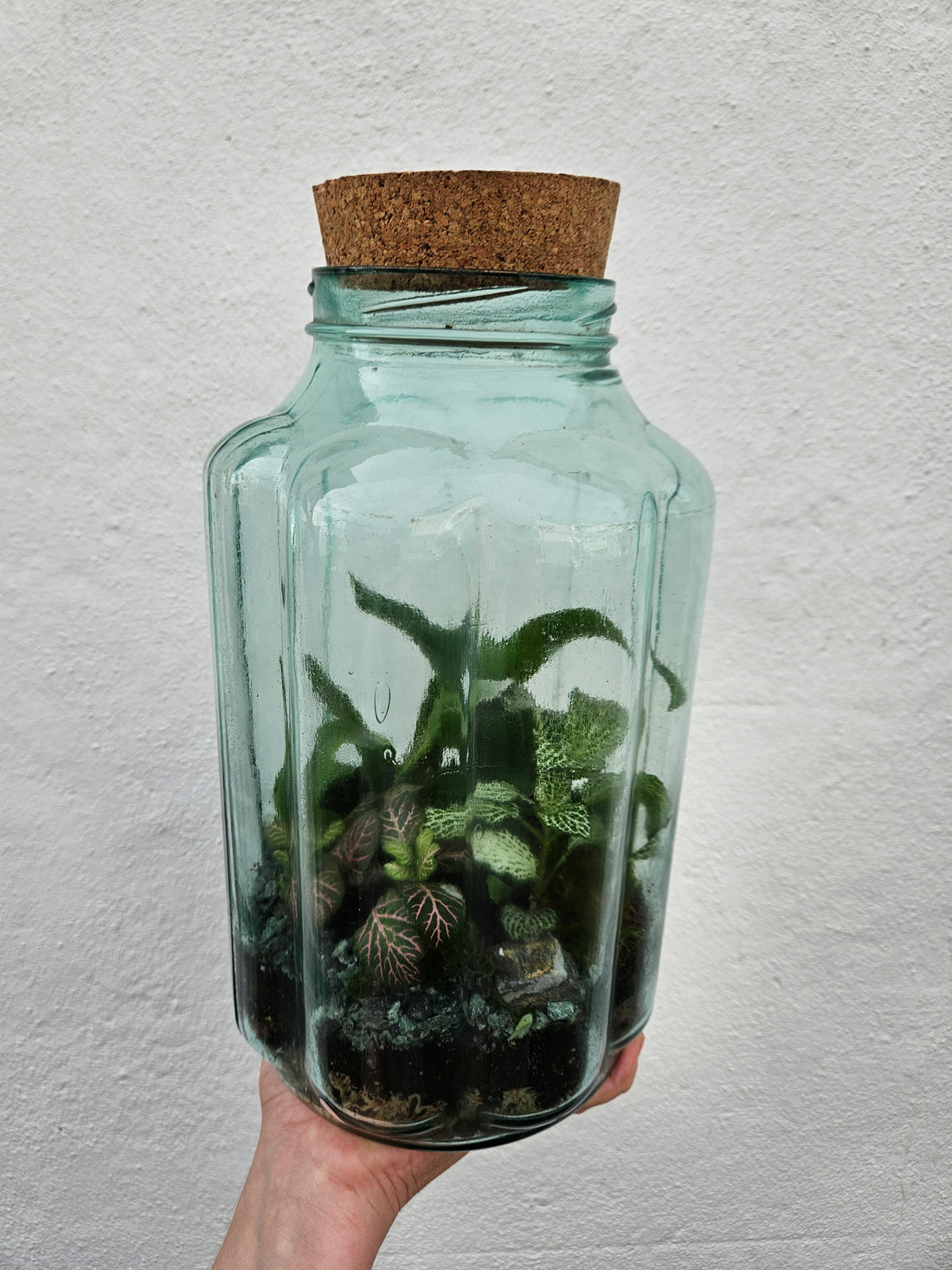 Tall Vintage Blue Bubble Glass Closed Terrarium