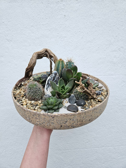 Large Round Husk Disk Open Terrarium