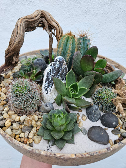 Large Round Husk Disk Open Terrarium