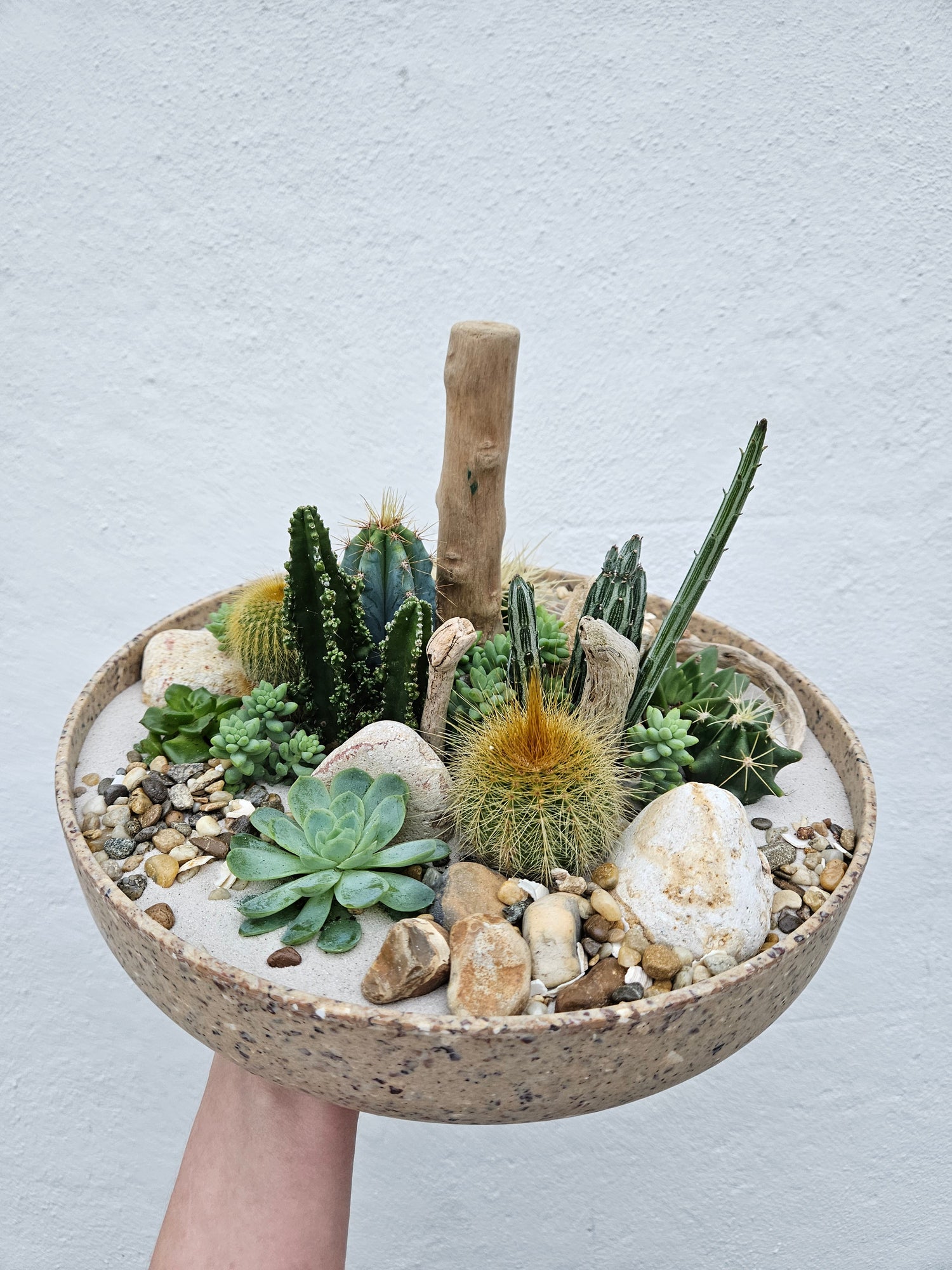 Large Round Husk Disk Open Terrarium