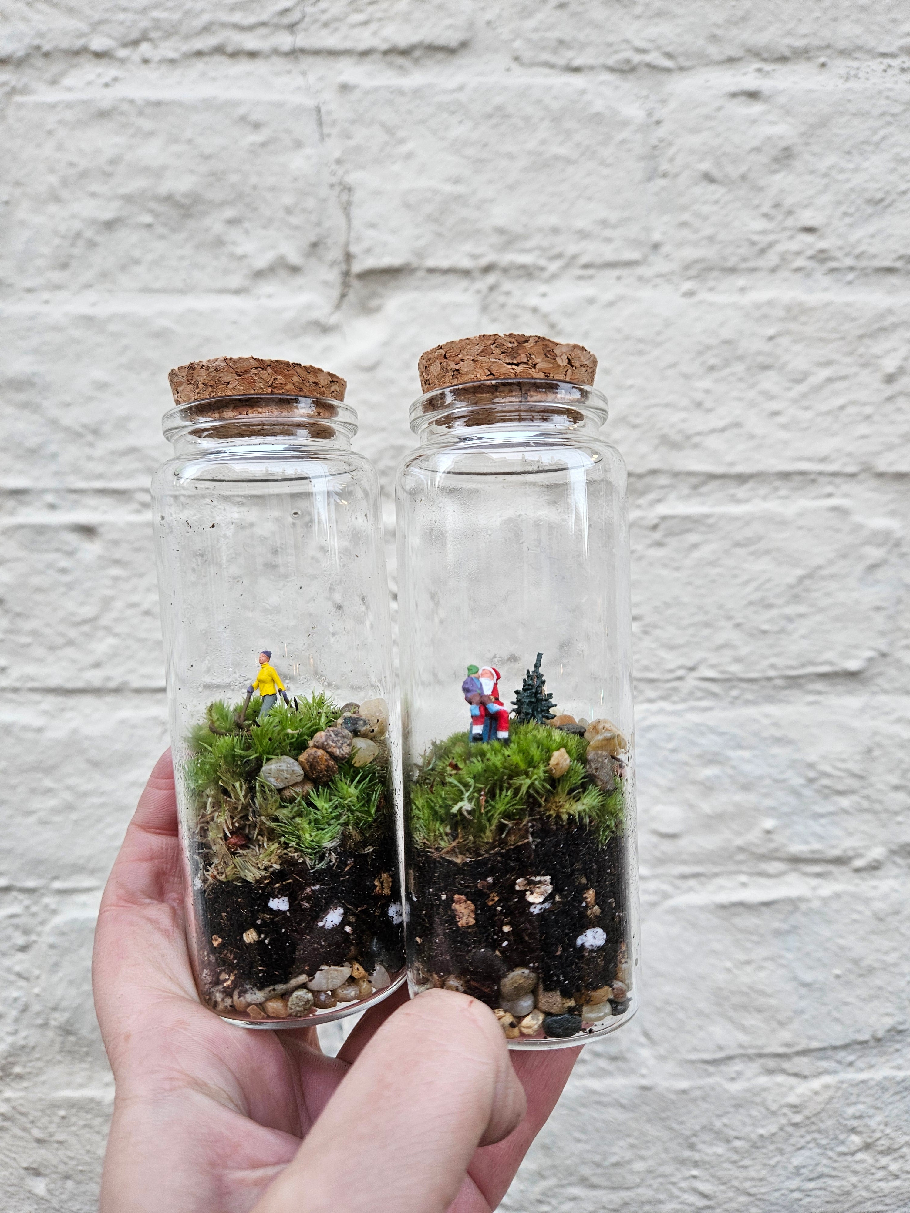 Small closed terrarium with cork