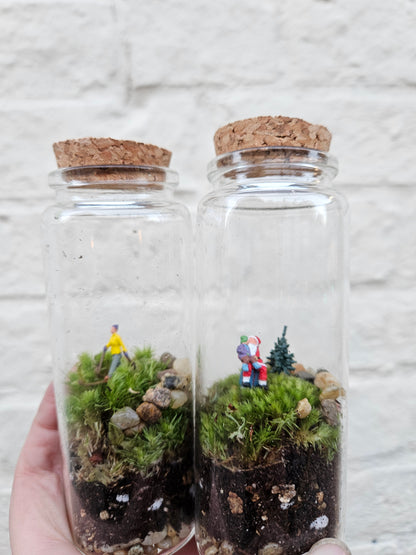 Small closed terrarium with cork