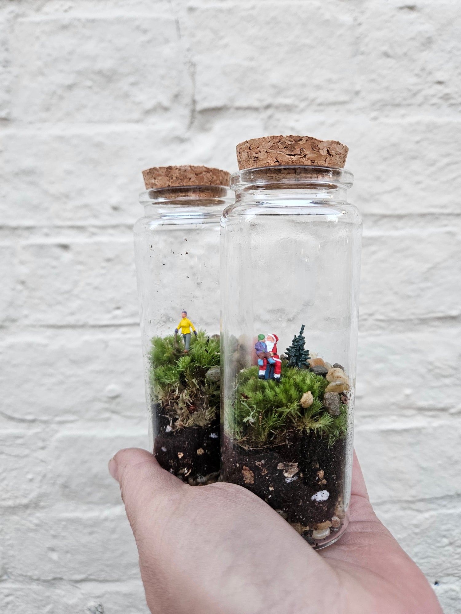 Small closed terrarium with cork