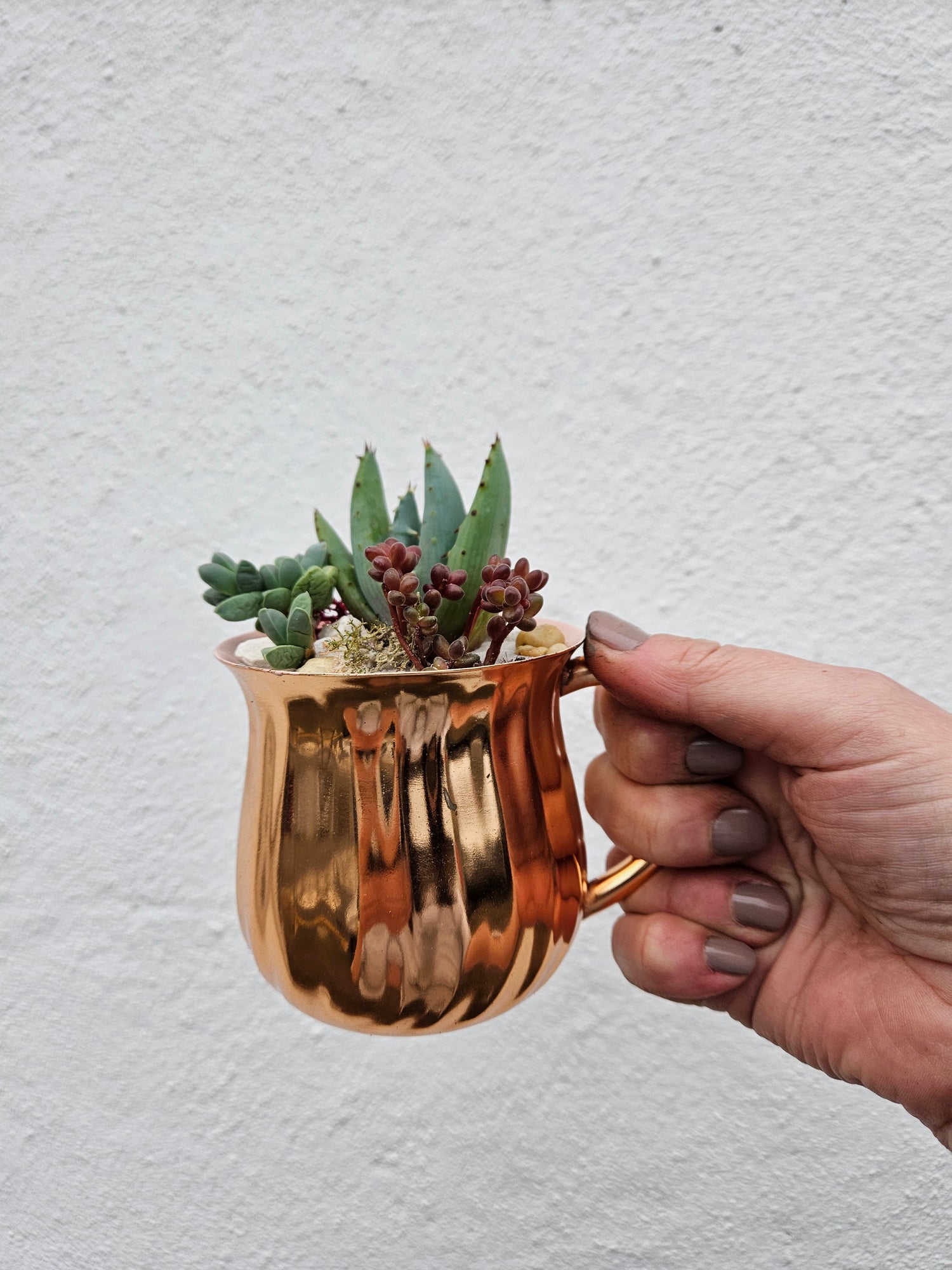 Small mug Open Terrarium