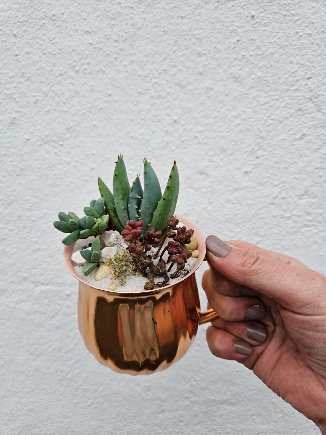 Small mug Open Terrarium