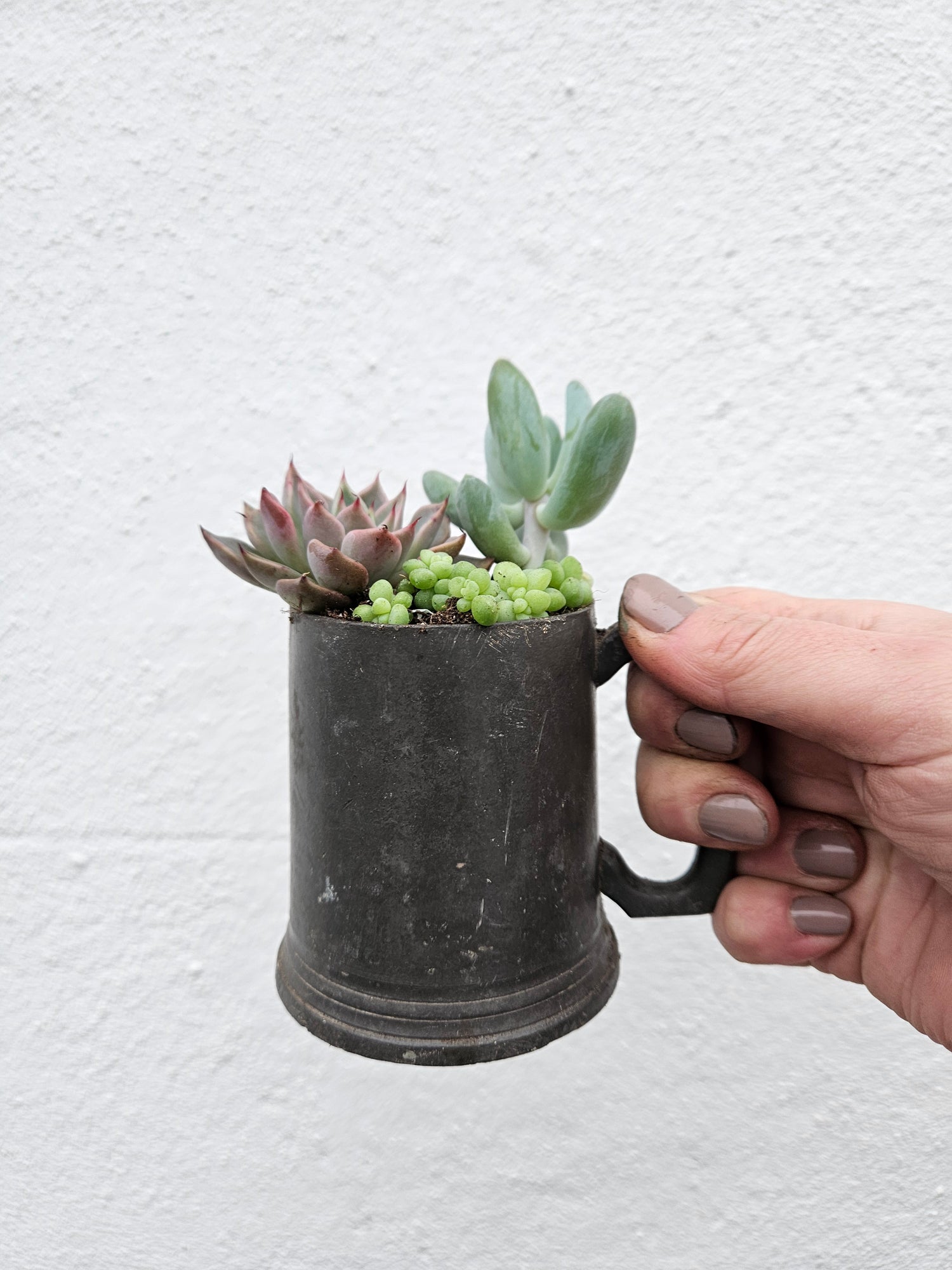 Small mug Open Terrarium