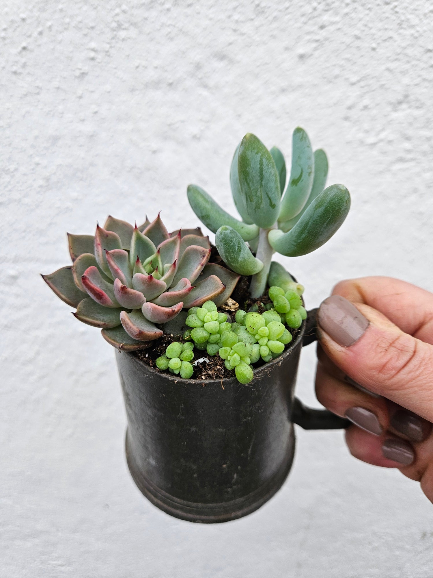 Small mug Open Terrarium