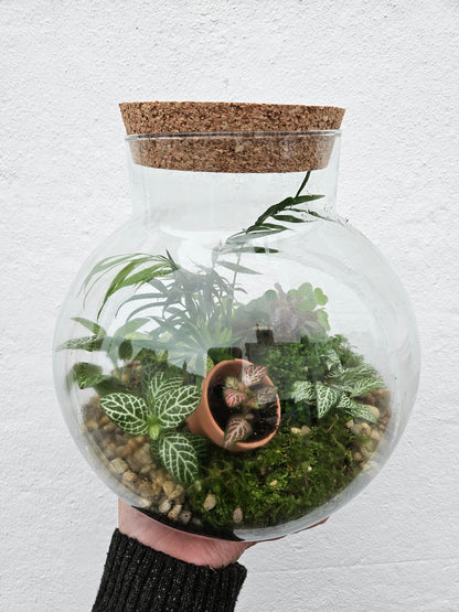 Large Round Glass Closed Terrarium