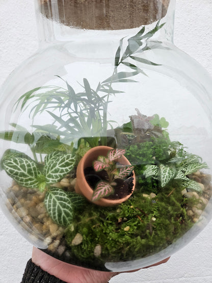 Large Round Glass Closed Terrarium