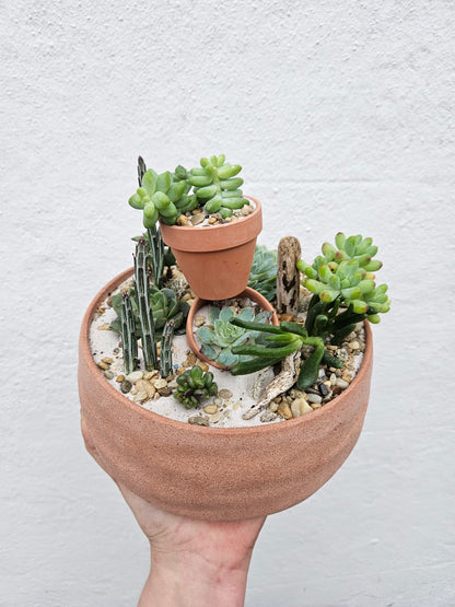 Round Bowl Open Terrarium