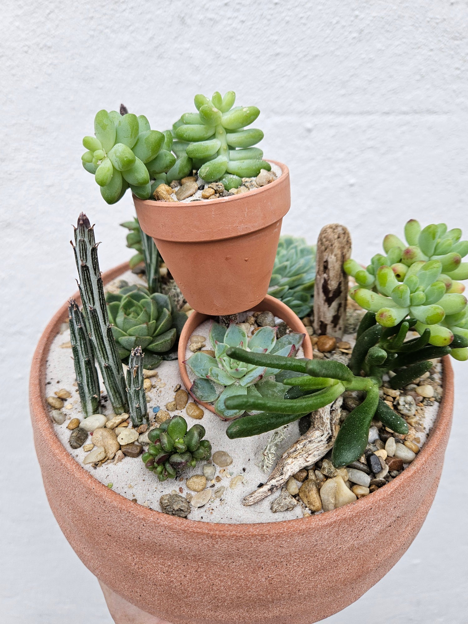 Round Bowl Open Terrarium