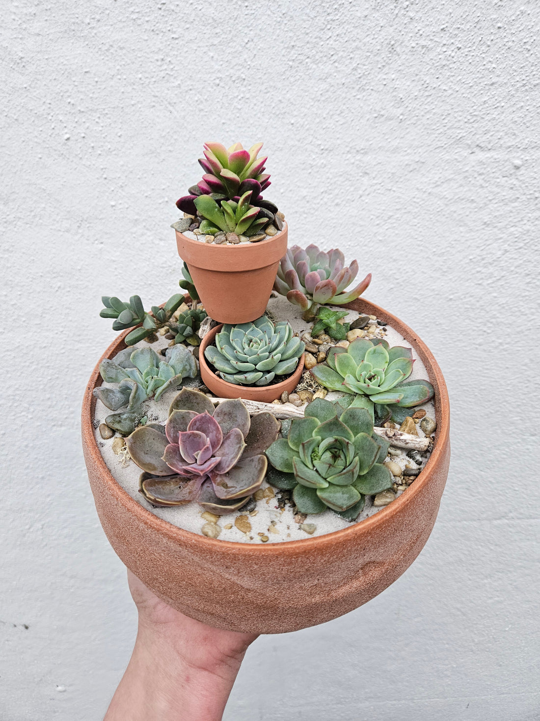 Round Bowl Open Terrarium