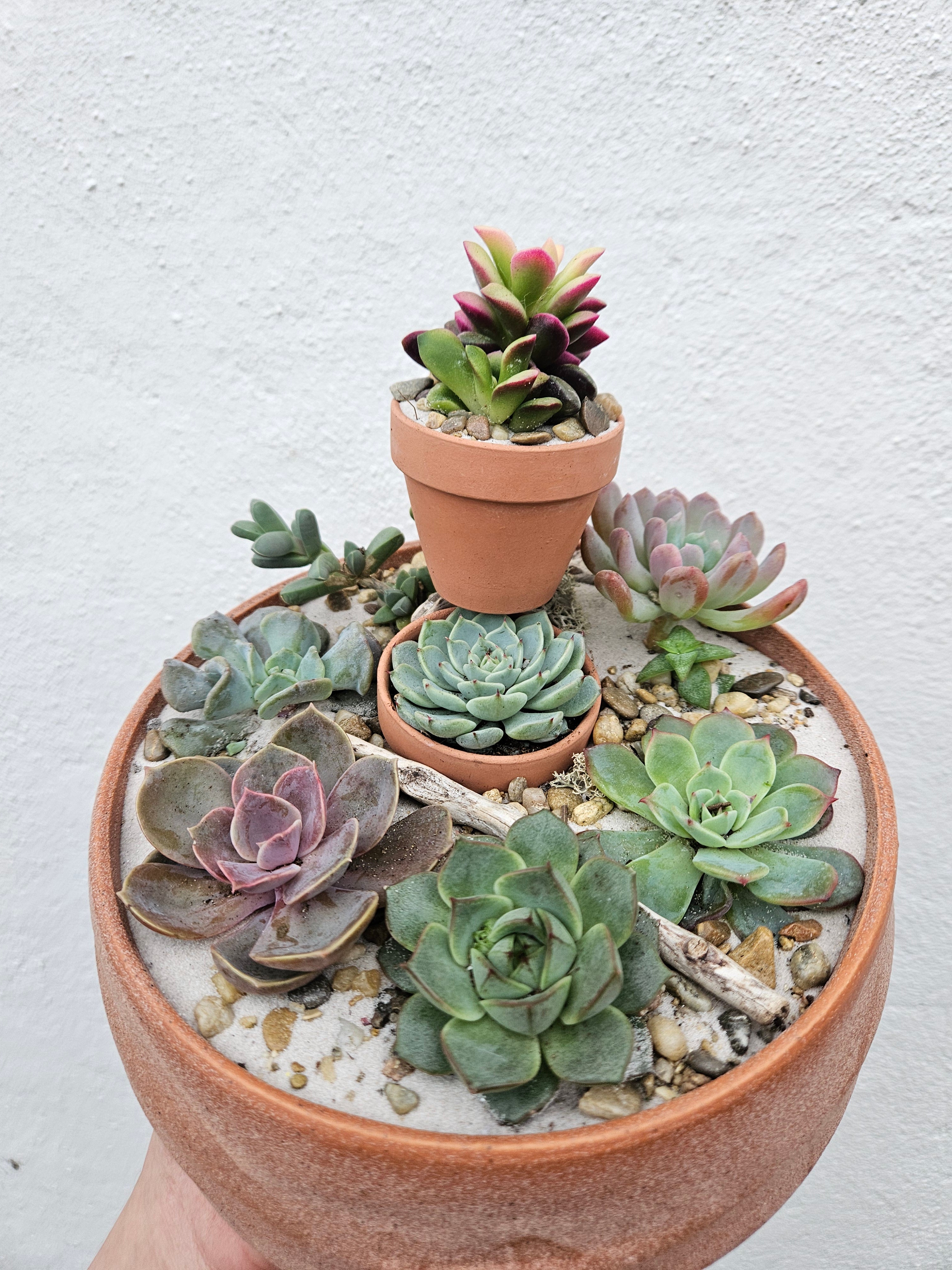 Round Bowl Open Terrarium